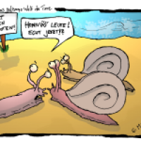 Seltsame Tierwelt #3