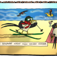 Seltsame Tierwelt #14
