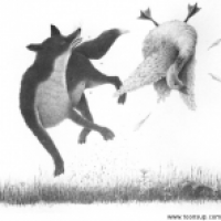 Fuchs, du hast die Gans gestohlen....