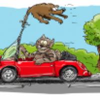 Tiere in ihrer natürlichen Umgebung 4