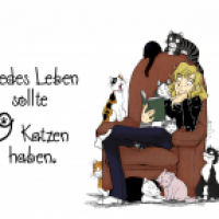 Katzenwerke 01
