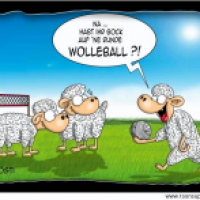Wolleball