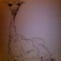 Giraffen-Baby