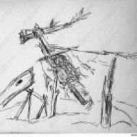 Sturmvogel aus Strandgut