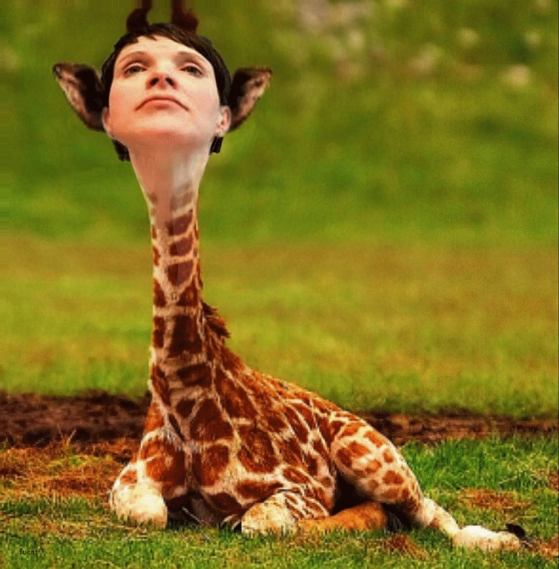 Caricature: Giraffenhals 1