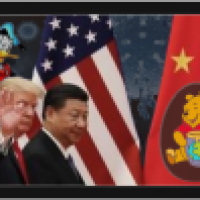 Big Donald und Winnipoo