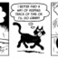 Another Cat Comic: In the Cat Shelter