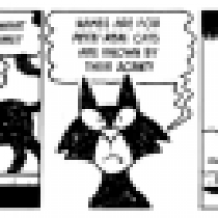 Another Cat Comic: The Scent of a Cat!