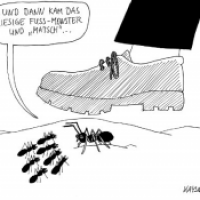 Ameisen-Geschichte