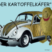 Kartoffelkäfer2