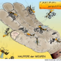 HALFPIPE der WESPEN