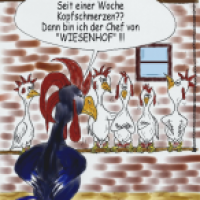Hühnerproblem