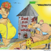 Rettet die Wale