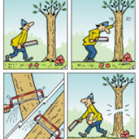 Der Baum
