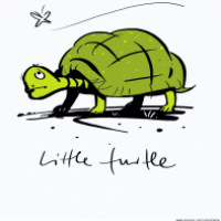Little Turtle