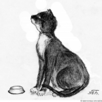 Felidae