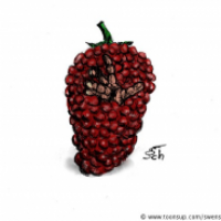 Himbeere