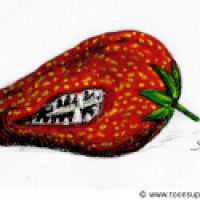 Erdbeere