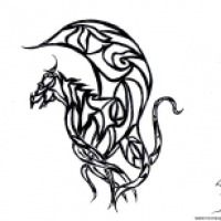 T-Dragon