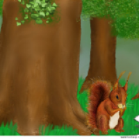 Eichhörnchen im Wald