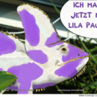 Milka - Gewinnspiel - Teilnahme