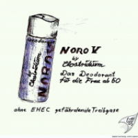 Noro V