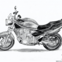 Bandit