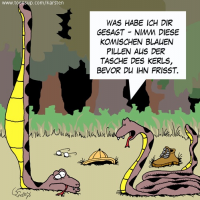 Schlangen