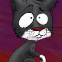 Katze
