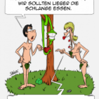 Erste Entscheidungen