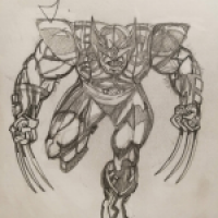 Wolverine in Rage mode!