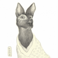 Hund in Pyjamas
