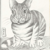 Häsechen im Katzenpelz