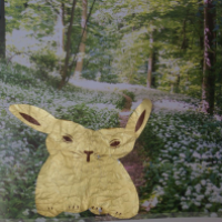 Lind Goldhase - entfalteter Charakter