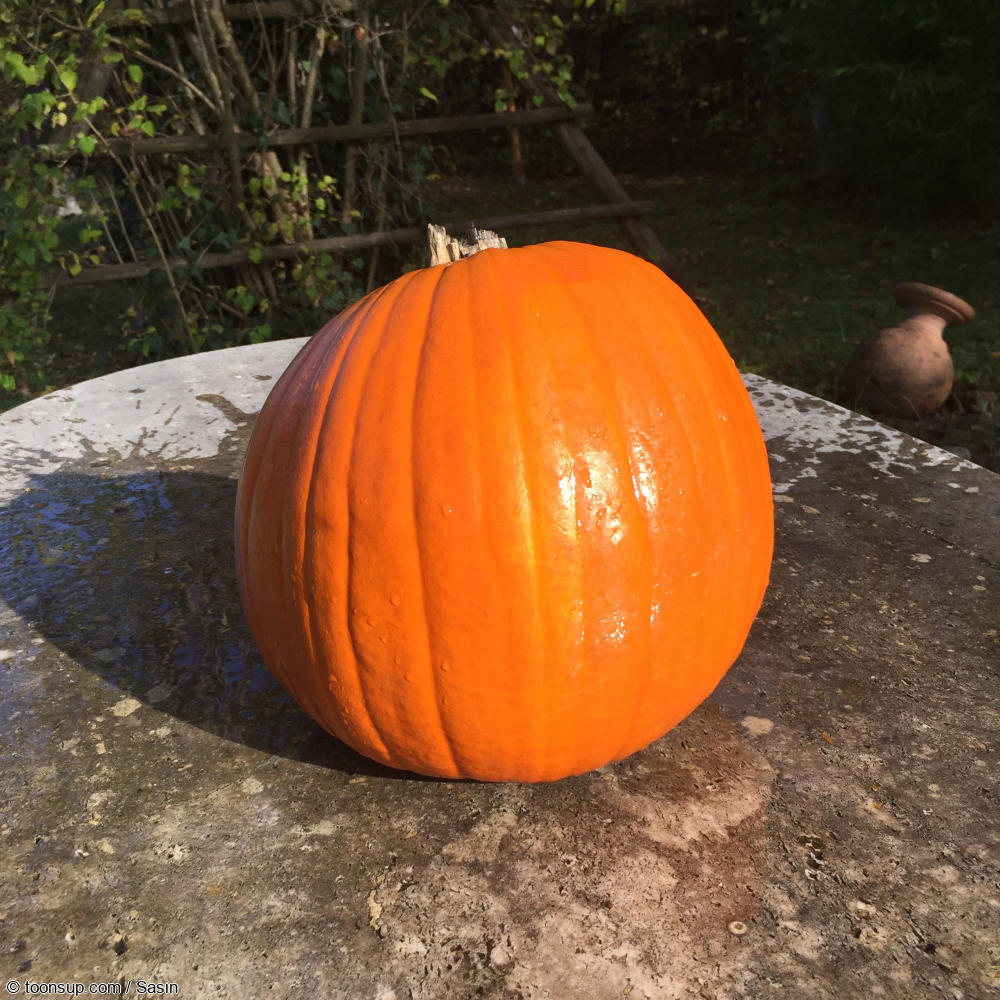 Photo: Happy Halloween!! // Pumpkin 2022 3