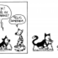 calvin