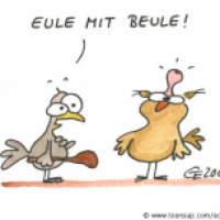 Eule mit Beule
