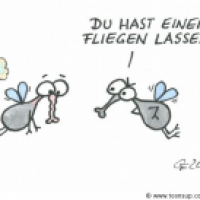 Einen Fliegen lassen