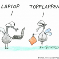Topflappen