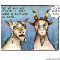zwei Ziegen...