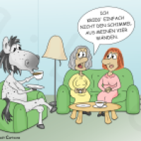 Schimmel im Haus