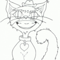 Zano the Cat