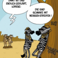 Die Zebra-Frage