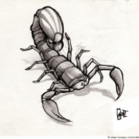 Scorpion