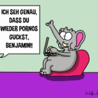 Aufgeflogen