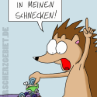 Da hat man den Salat...