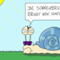 Sonnenbrille raus!