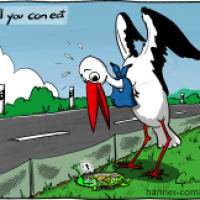 Krötenwanderung - all you can eat