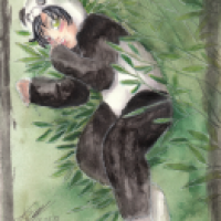 Pandakostüm