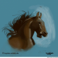 A Horse